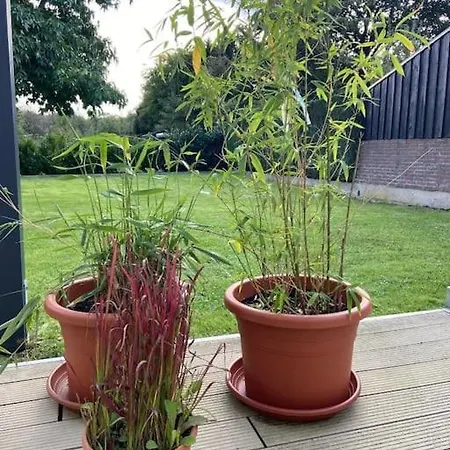 Einzelzimmer Nr 1 In Apartment *