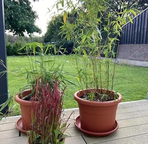 Einzelzimmer Nr 1 In 公寓 *